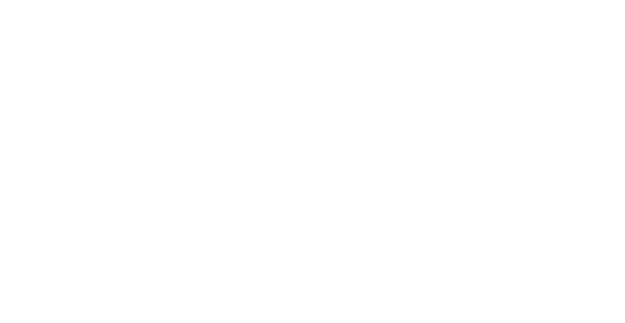 The Walt Disney Company